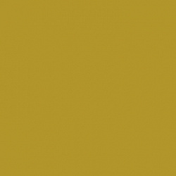 2459 Оливковый