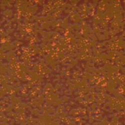 sl-201 ржавчина 2