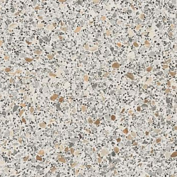 2369 S Ракушки